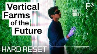Vertical farms could take over the world | Hard Reset by Freethink