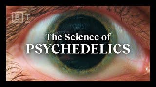 How psychedelics work, psychedelics explained in under 5 minutes